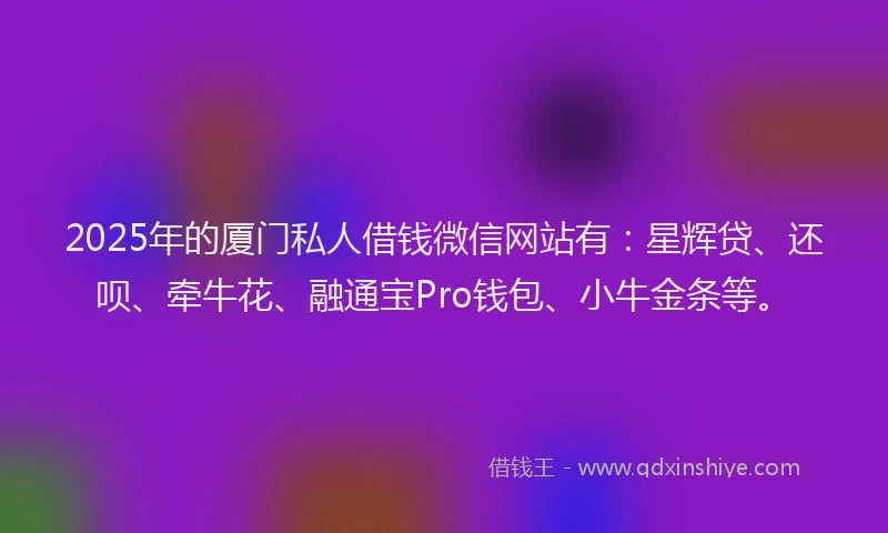 2025年的厦门私人借钱微信网站有：星辉贷、还呗、牵牛花、融通宝Pro钱包、小牛金条等。