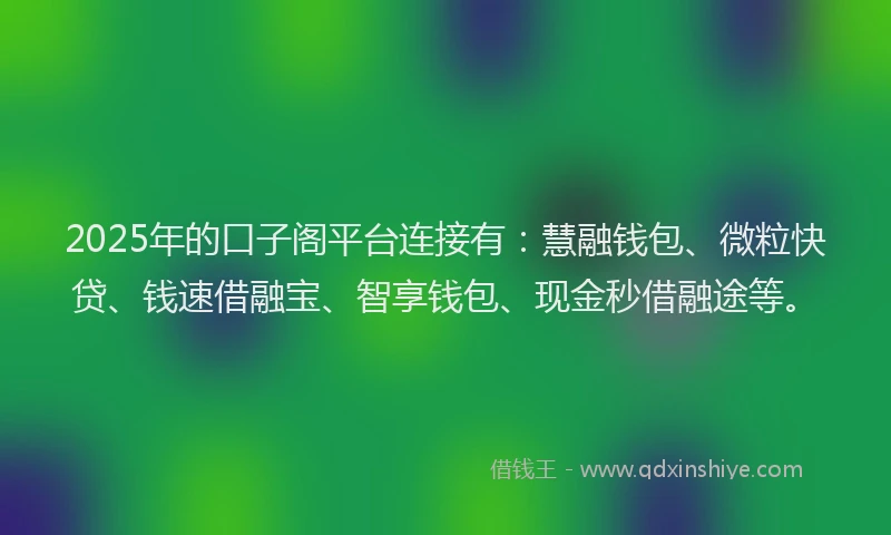 2025年的口子阁平台连接有：慧融钱包、微粒快贷、钱速借融宝、智享钱包、现金秒借融途等。