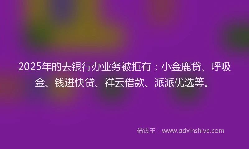 2025年的去银行办业务被拒有：小金鹿贷、呼吸金、钱进快贷、祥云借款、派派优选等。