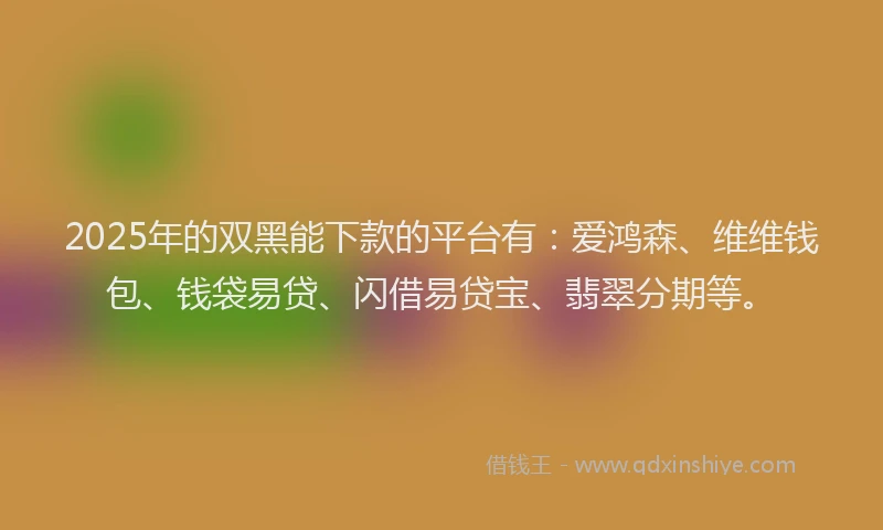 2025年的双黑能下款的平台有：爱鸿森、维维钱包、钱袋易贷、闪借易贷宝、翡翠分期等。