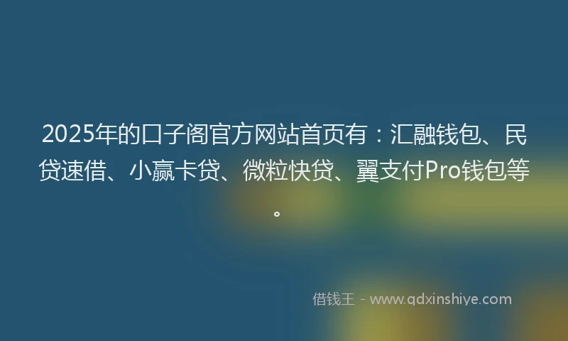 2025年的口子阁官方网站首页有：汇融钱包、民贷速借、小赢卡贷、微粒快贷、翼支付Pro钱包等。