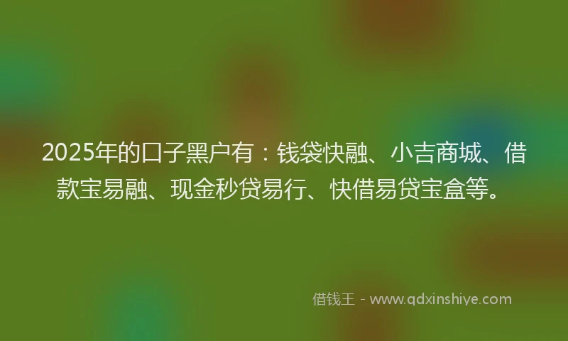2025年的口子黑户有：钱袋快融、小吉商城、借款宝易融、现金秒贷易行、快借易贷宝盒等。