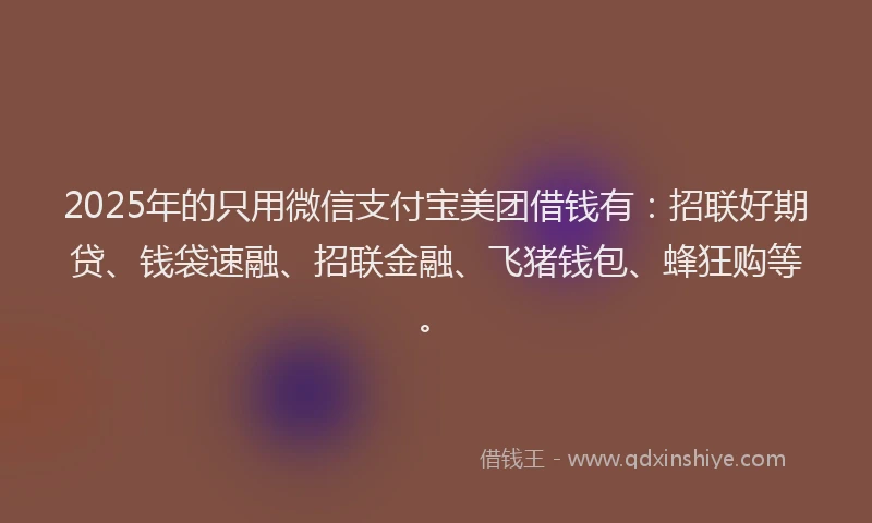 2025年的只用微信支付宝美团借钱有：招联好期贷、钱袋速融、招联金融、飞猪钱包、蜂狂购等。