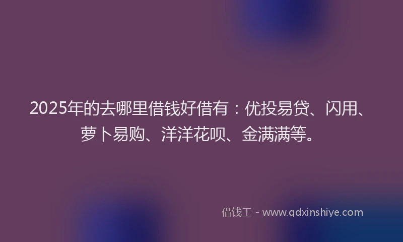2025年的去哪里借钱好借有：优投易贷、闪用、萝卜易购、洋洋花呗、金满满等。