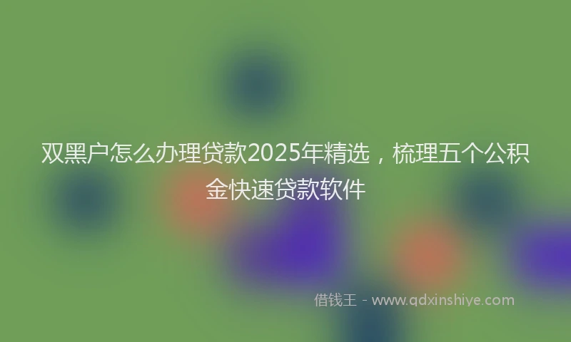 双黑户怎么办理贷款2025年精选，梳理五个公积金快速贷款软件