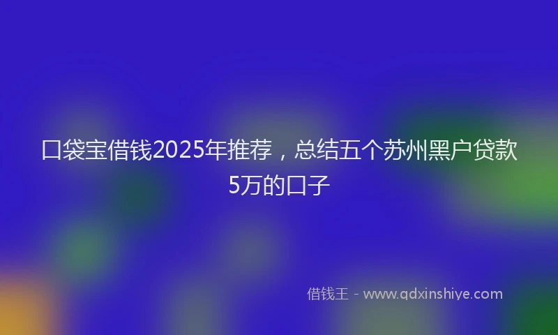 口袋宝借钱2025年推荐，总结五个苏州黑户贷款5万的口子