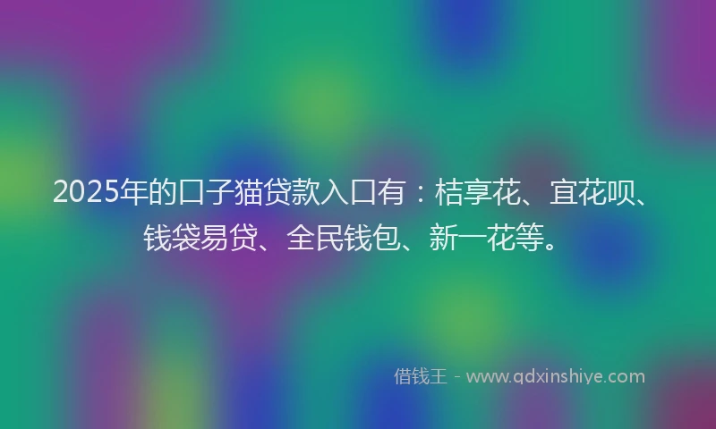 2025年的口子猫贷款入口有：桔享花、宜花呗、钱袋易贷、全民钱包、新一花等。