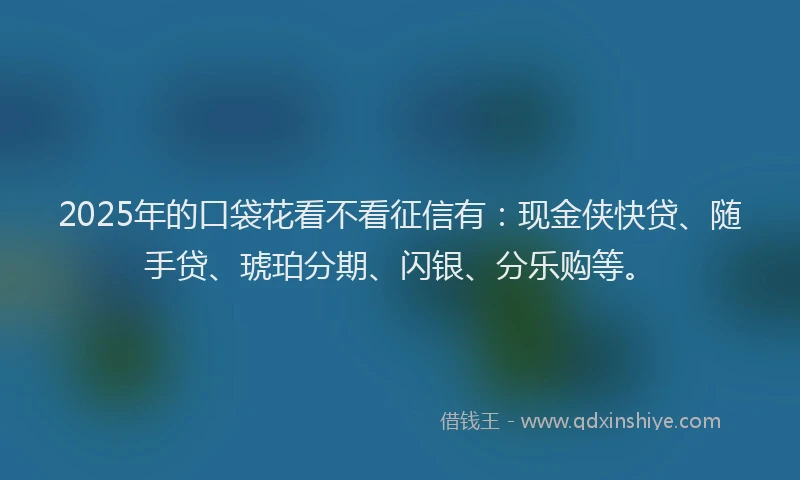 2025年的口袋花看不看征信有：现金侠快贷、随手贷、琥珀分期、闪银、分乐购等。