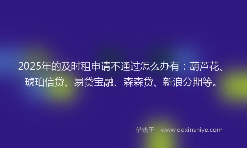 2025年的及时租申请不通过怎么办有：葫芦花、琥珀信贷、易贷宝融、森森贷、新浪分期等。