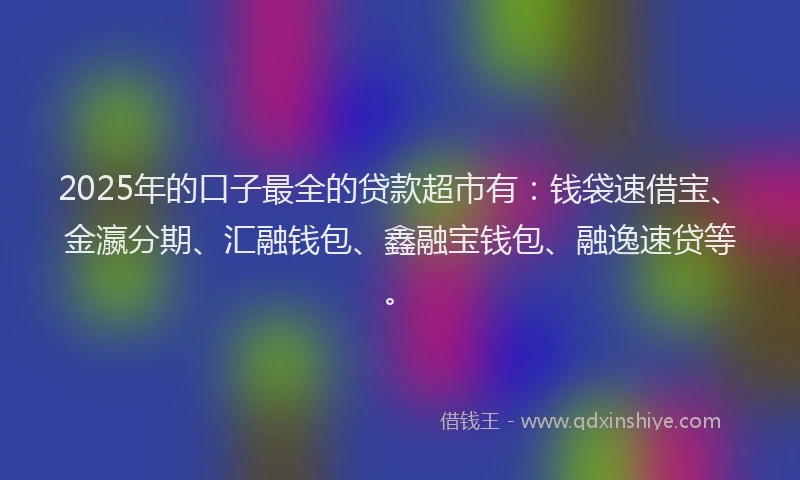 2025年的口子最全的贷款超市有：钱袋速借宝、金瀛分期、汇融钱包、鑫融宝钱包、融逸速贷等。