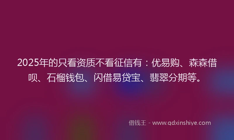 2025年的只看资质不看征信有：优易购、森森借呗、石榴钱包、闪借易贷宝、翡翠分期等。