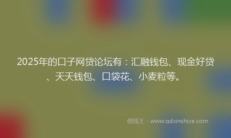 2025年的口子网贷论坛有：汇融钱包、现金好贷、天天钱包、口袋花、小麦粒等。