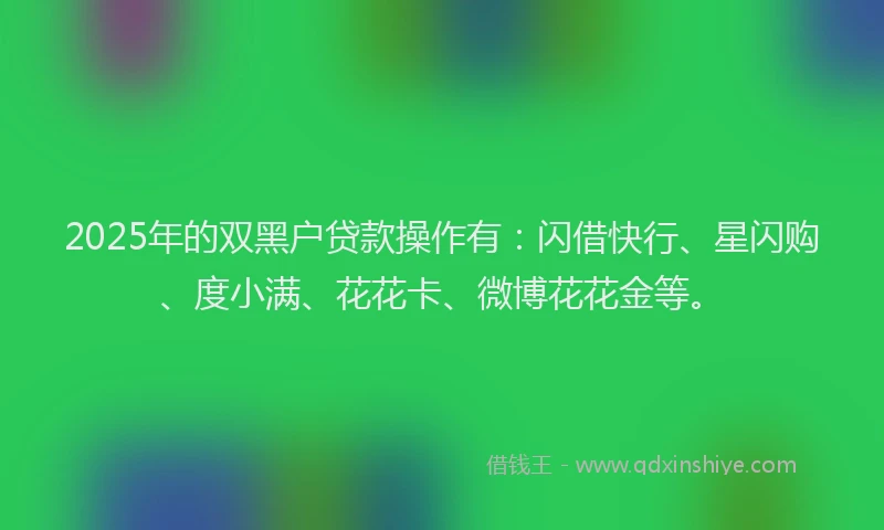 2025年的双黑户贷款操作有：闪借快行、星闪购、度小满、花花卡、微博花花金等。