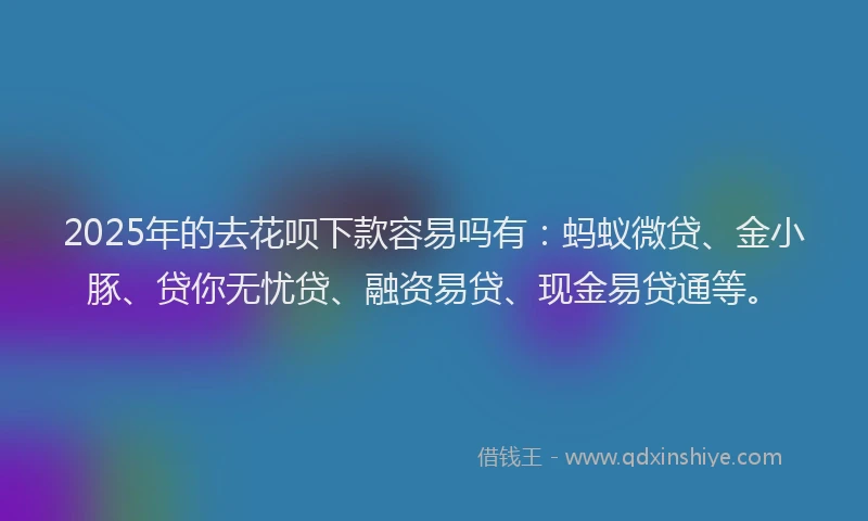 2025年的去花呗下款容易吗有：蚂蚁微贷、金小豚、贷你无忧贷、融资易贷、现金易贷通等。
