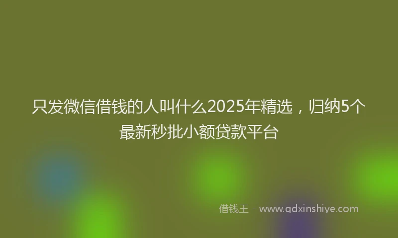 只发微信借钱的人叫什么2025年精选，归纳5个最新秒批小额贷款平台