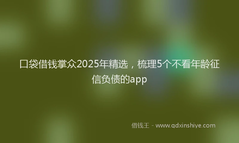 口袋借钱掌众2025年精选，梳理5个不看年龄征信负债的app