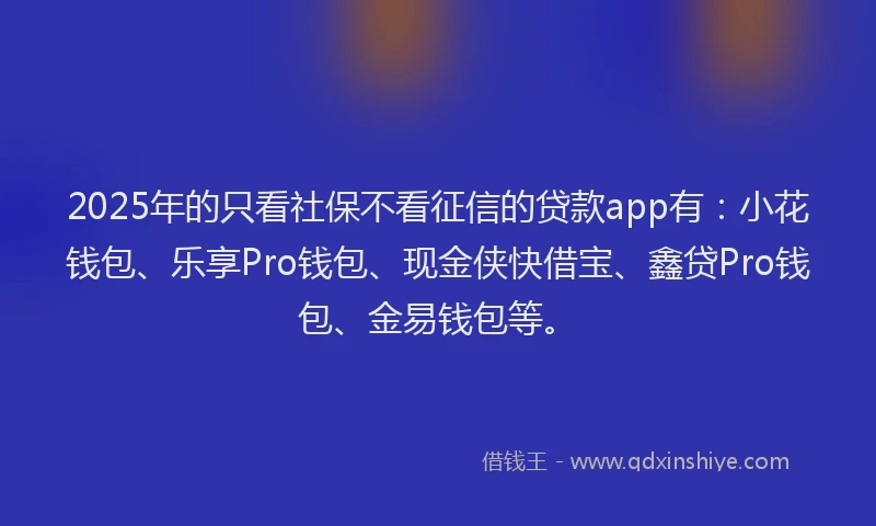 2025年的只看社保不看征信的贷款app有：小花钱包、乐享Pro钱包、现金侠快借宝、鑫贷Pro钱包、金易钱包等。
