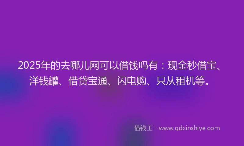 2025年的去哪儿网可以借钱吗有：现金秒借宝、洋钱罐、借贷宝通、闪电购、只从租机等。