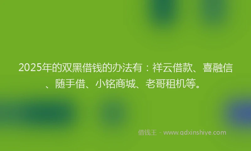 2025年的双黑借钱的办法有：祥云借款、喜融信、随手借、小铭商城、老哥租机等。