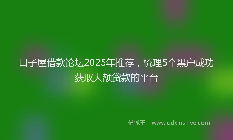 口子屋借款论坛2025年推荐，梳理5个黑户成功获取大额贷款的平台