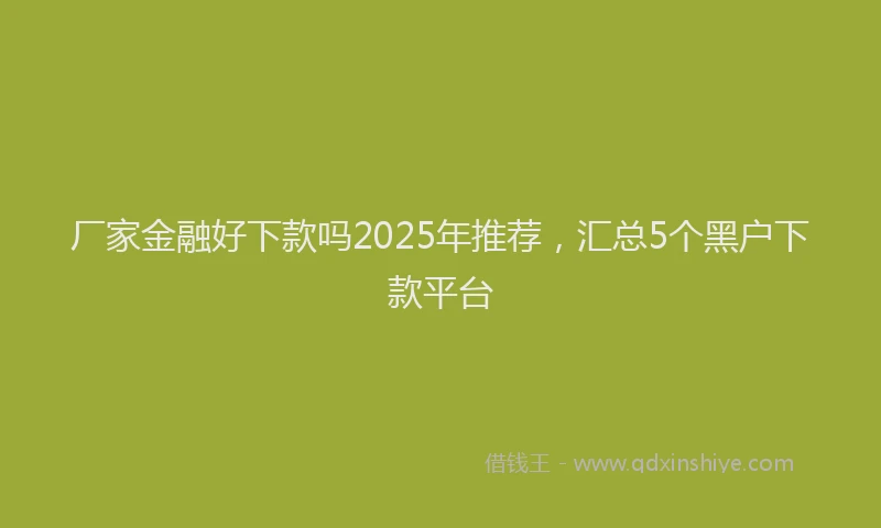 厂家金融好下款吗2025年推荐，汇总5个黑户下款平台