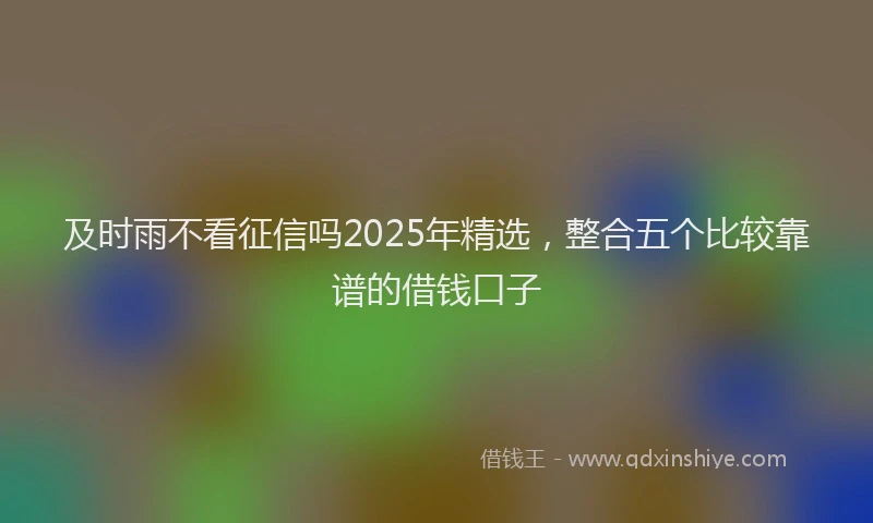 及时雨不看征信吗2025年精选，整合五个比较靠谱的借钱口子