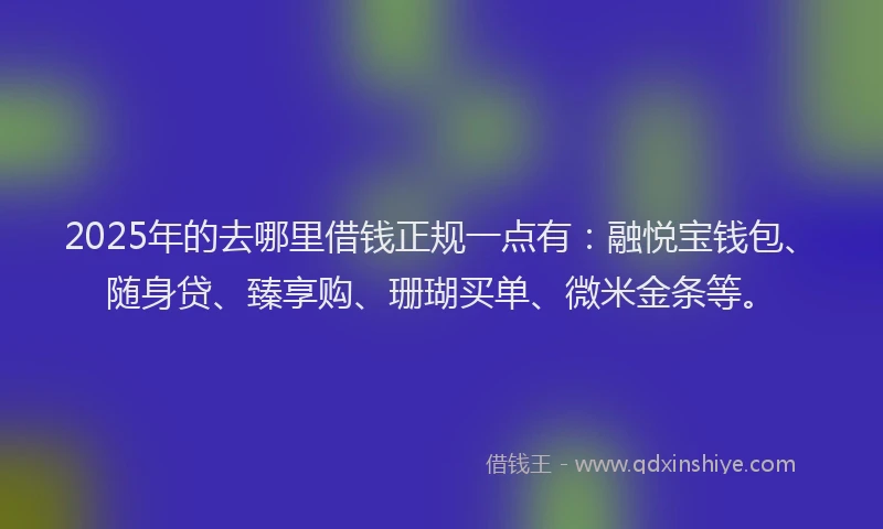 2025年的去哪里借钱正规一点有：融悦宝钱包、随身贷、臻享购、珊瑚买单、微米金条等。
