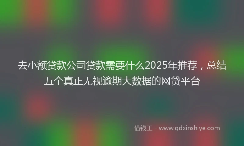 去小额贷款公司贷款需要什么2025年推荐，总结五个真正无视逾期大数据的网贷平台
