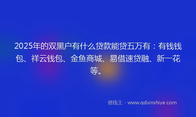 2025年的双黑户有什么贷款能贷五万有：有钱钱包、祥云钱包、金鱼商城、易借速贷融、新一花等。