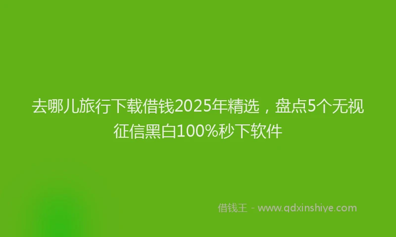 去哪儿旅行下载借钱2025年精选，盘点5个无视征信黑白100%秒下软件