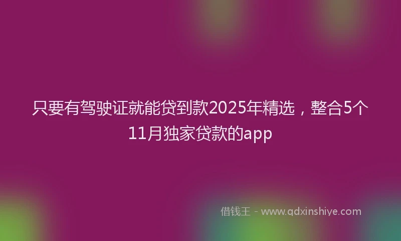 只要有驾驶证就能贷到款2025年精选，整合5个11月独家贷款的app