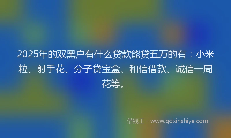 2025年的双黑户有什么贷款能贷五万的有：小米粒、射手花、分子贷宝盒、和信借款、诚信一周花等。