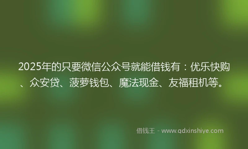 2025年的只要微信公众号就能借钱有：优乐快购、众安贷、菠萝钱包、魔法现金、友福租机等。