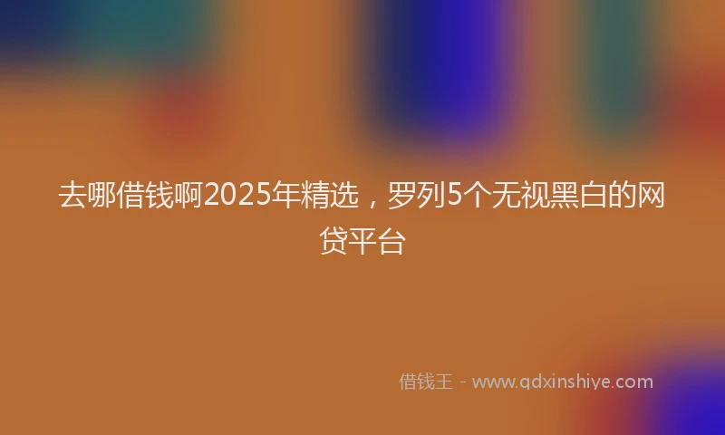 去哪借钱啊2025年精选，罗列5个无视黑白的网贷平台