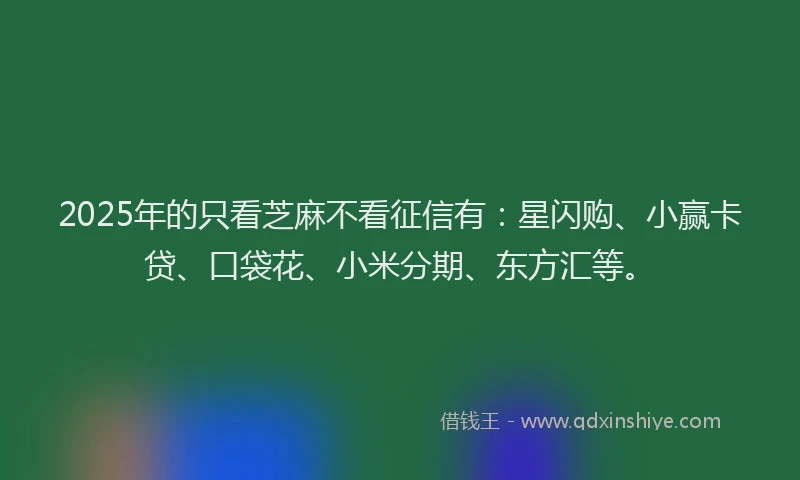 2025年的只看芝麻不看征信有：星闪购、小赢卡贷、口袋花、小米分期、东方汇等。