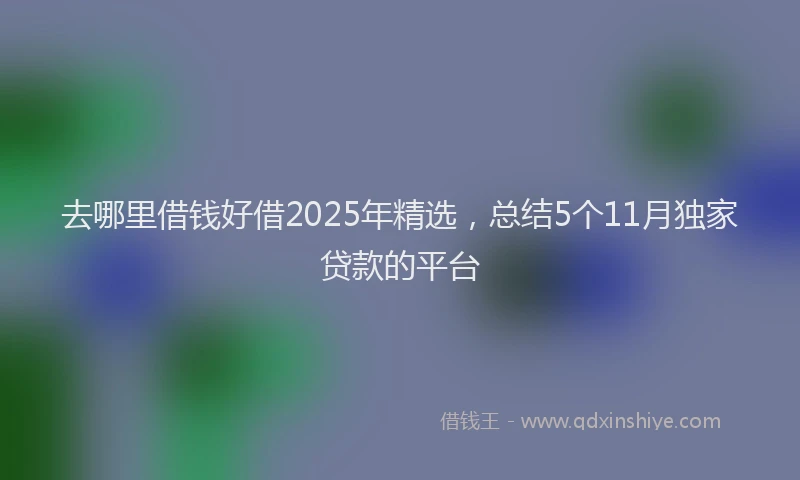 去哪里借钱好借2025年精选，总结5个11月独家贷款的平台