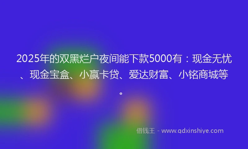 2025年的双黑烂户夜间能下款5000有：现金无忧、现金宝盒、小赢卡贷、爱达财富、小铭商城等。