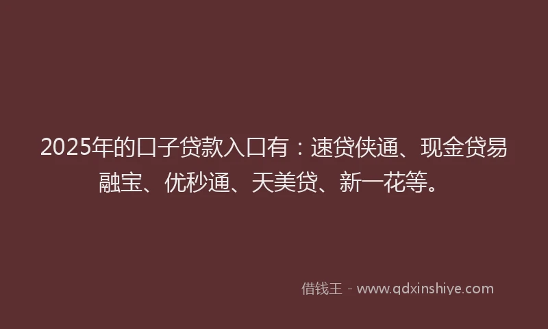 2025年的口子贷款入口有：速贷侠通、现金贷易融宝、优秒通、天美贷、新一花等。