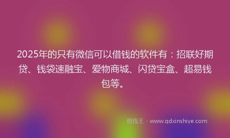 2025年的只有微信可以借钱的软件有：招联好期贷、钱袋速融宝、爱物商城、闪贷宝盒、超易钱包等。