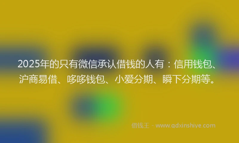 2025年的只有微信承认借钱的人有：信用钱包、沪商易借、哆哆钱包、小爱分期、瞬下分期等。