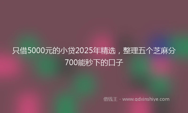 只借5000元的小贷2025年精选，整理五个芝麻分700能秒下的口子