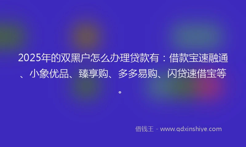 2025年的双黑户怎么办理贷款有：借款宝速融通、小象优品、臻享购、多多易购、闪贷速借宝等。