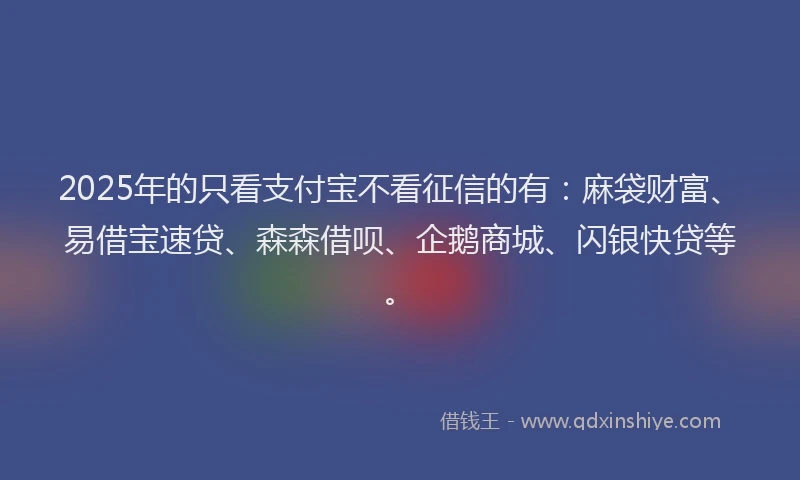 2025年的只看支付宝不看征信的有：麻袋财富、易借宝速贷、森森借呗、企鹅商城、闪银快贷等。