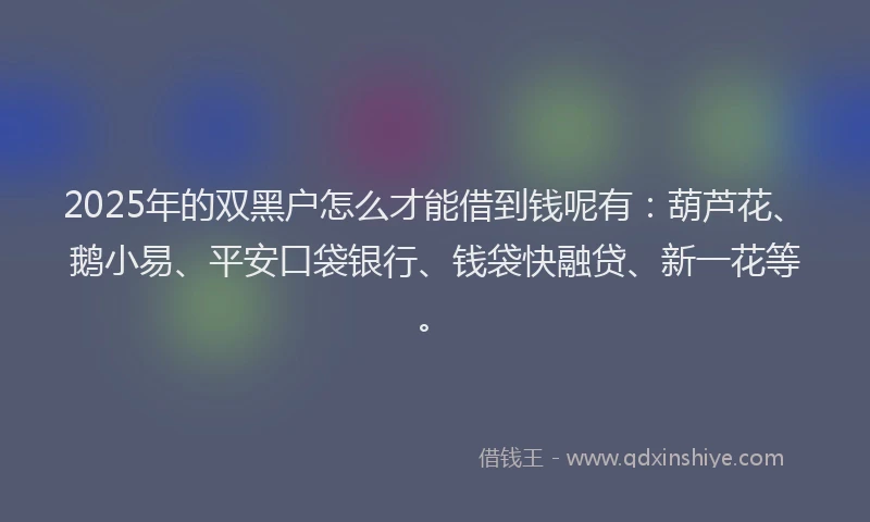 2025年的双黑户怎么才能借到钱呢有：葫芦花、鹅小易、平安口袋银行、钱袋快融贷、新一花等。