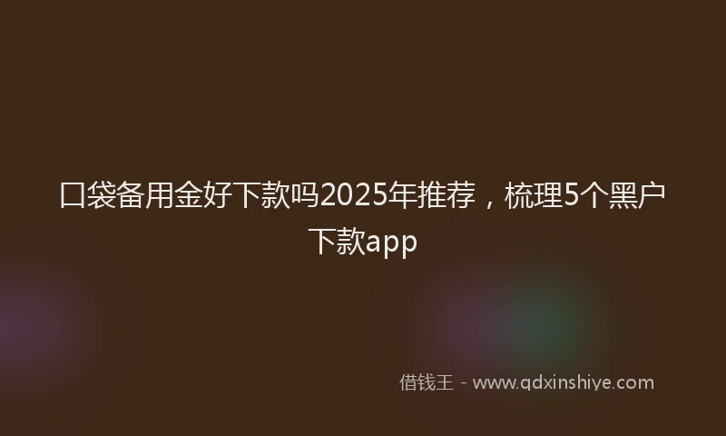 口袋备用金好下款吗2025年推荐，梳理5个黑户下款app