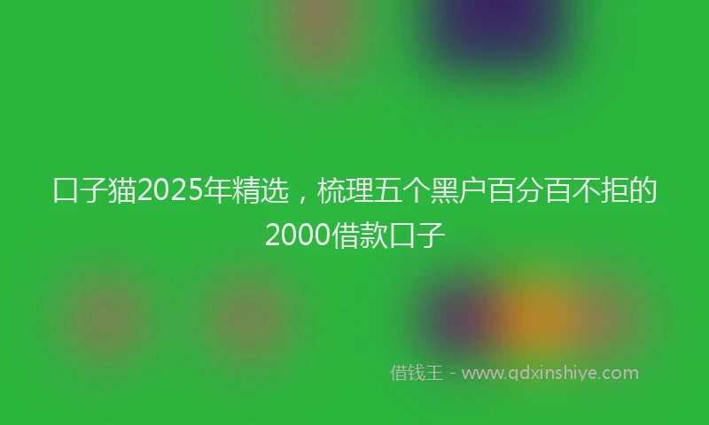 口子猫2025年精选，梳理五个黑户百分百不拒的2000借款口子