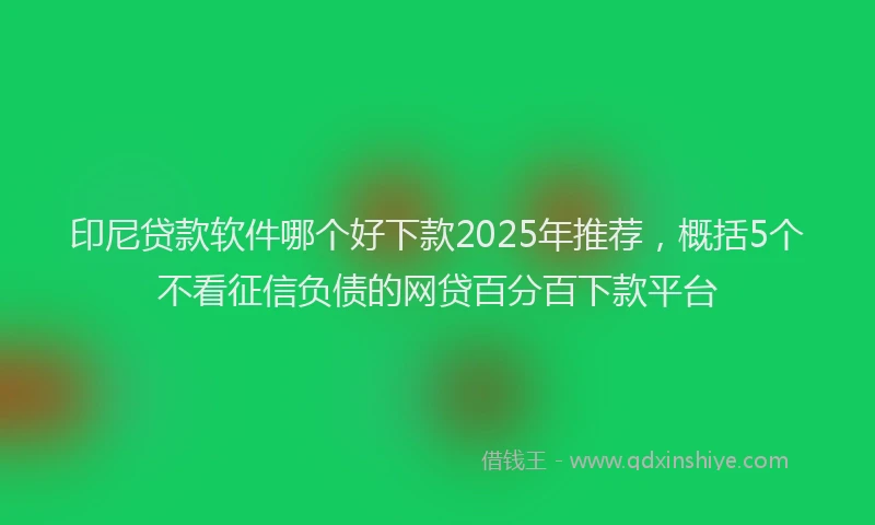 印尼贷款软件哪个好下款2025年推荐，概括5个不看征信负债的网贷百分百下款平台