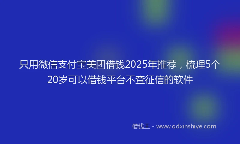 只用微信支付宝美团借钱2025年推荐，梳理5个20岁可以借钱平台不查征信的软件