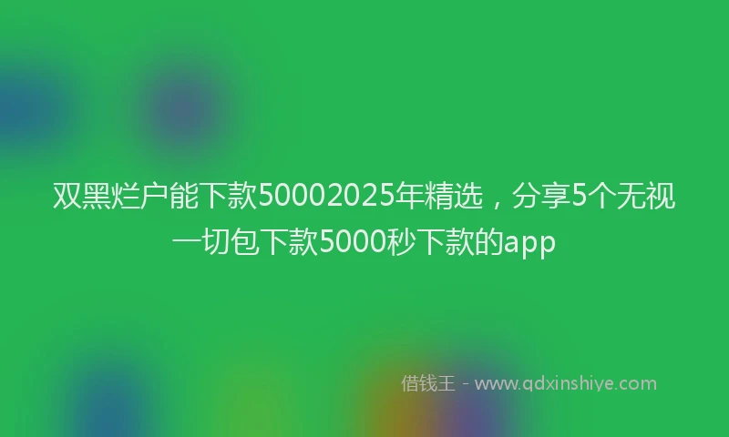 双黑烂户能下款50002025年精选，分享5个无视一切包下款5000秒下款的app