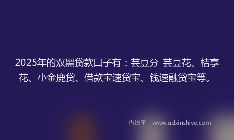 2025年的双黑贷款口子有：芸豆分-芸豆花、桔享花、小金鹿贷、借款宝速贷宝、钱速融贷宝等。